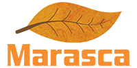 marasca